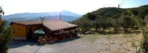 agriturismo alveare cortile