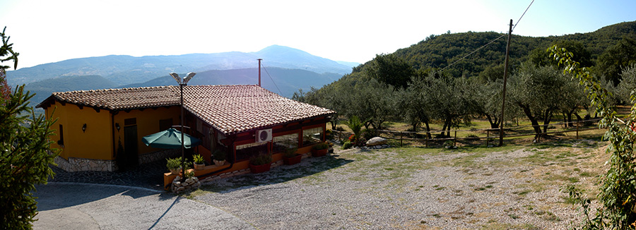 Agriturismo L'Alveare