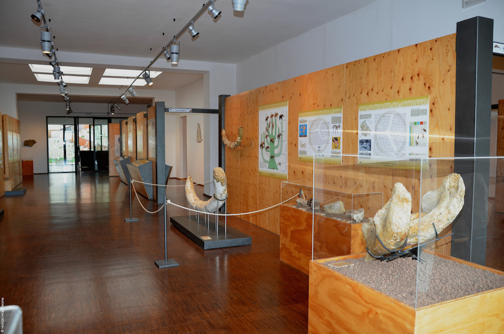 Palena Museo geopaleontologico